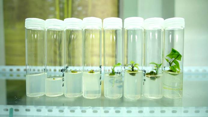 99905���ӹٷ�(�й���)���޹�˾��վ