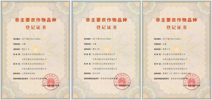 99905���ӹٷ�(�й���)���޹�˾��վ