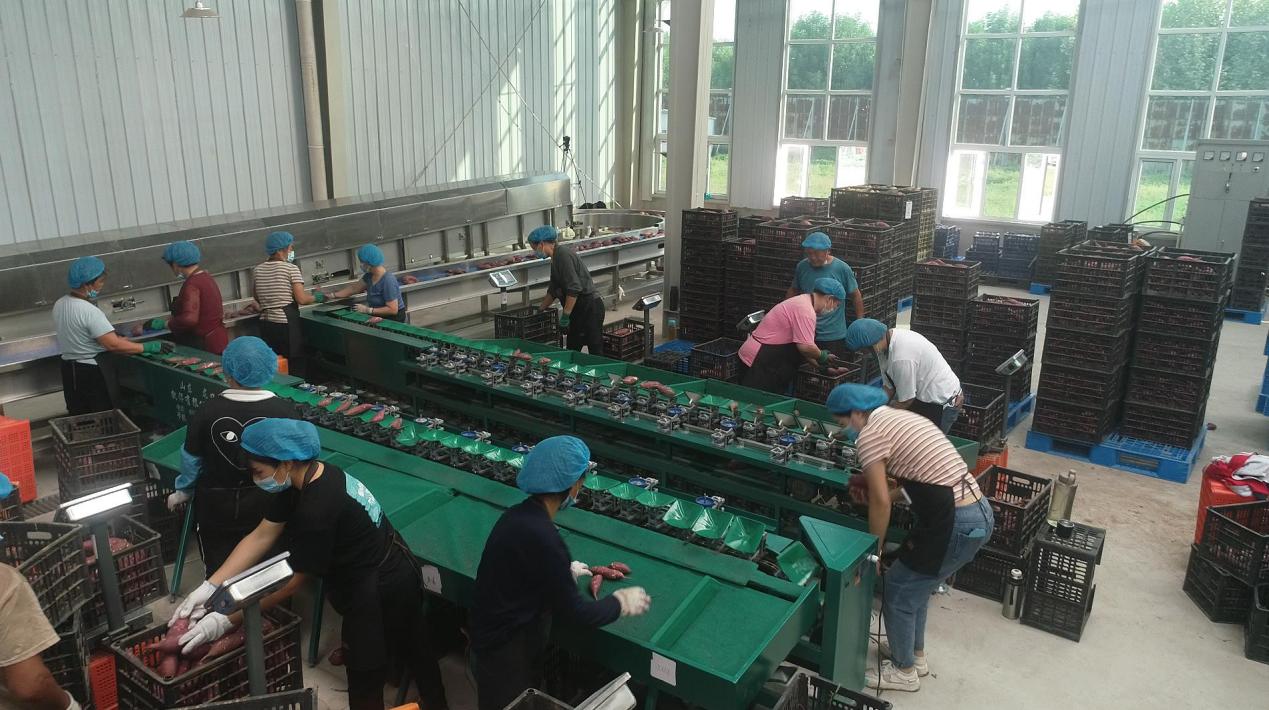 99905���ӹٷ�(�й���)���޹�˾��վ