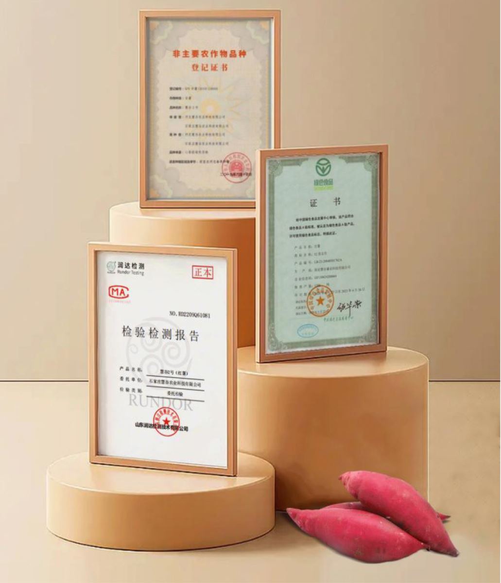 99905���ӹٷ�(�й���)���޹�˾��վ