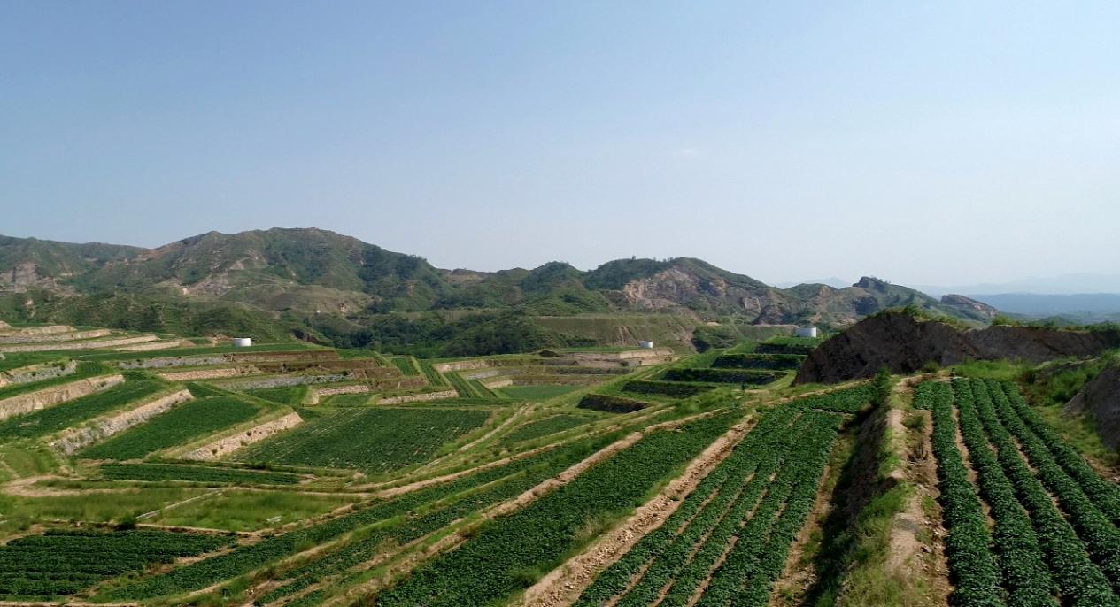 99905���ӹٷ�(�й���)���޹�˾��վ