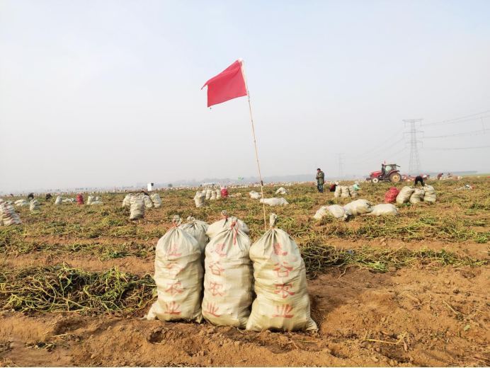 99905���ӹٷ�(�й���)���޹�˾��վ