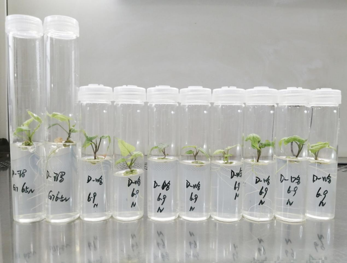 99905���ӹٷ�(�й���)���޹�˾��վ