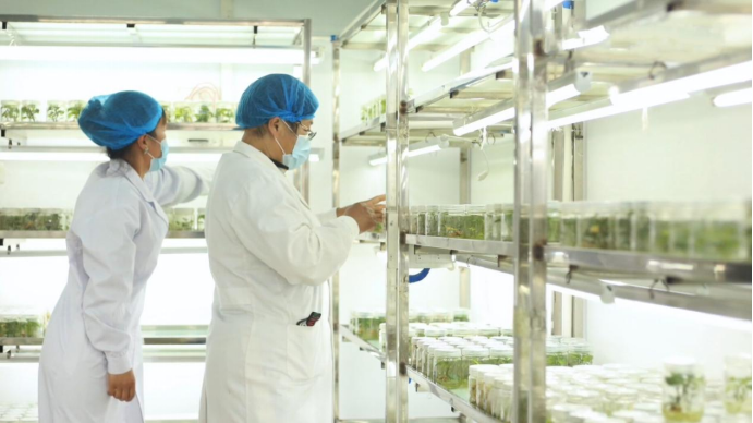 99905���ӹٷ�(�й���)���޹�˾��վ