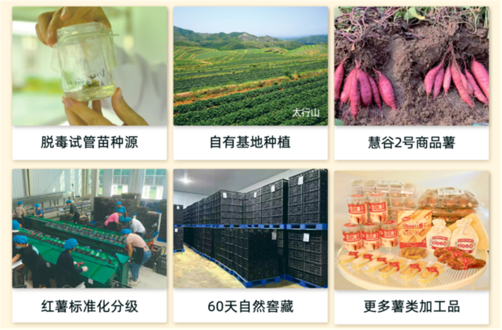 99905���ӹٷ�(�й���)���޹�˾��վ