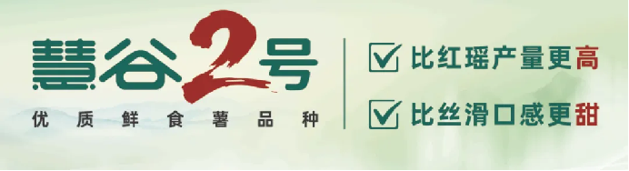 99905���ӹٷ�(�й���)���޹�˾��վ