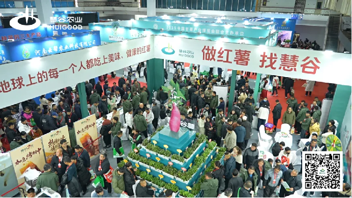 99905���ӹٷ�(�й���)���޹�˾��վ