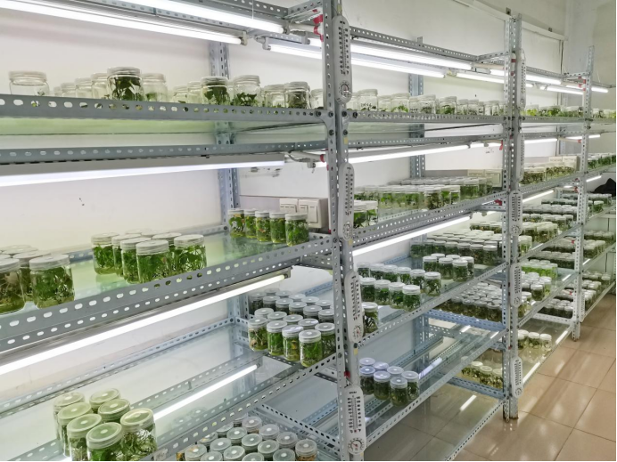 99905���ӹٷ�(�й���)���޹�˾��վ