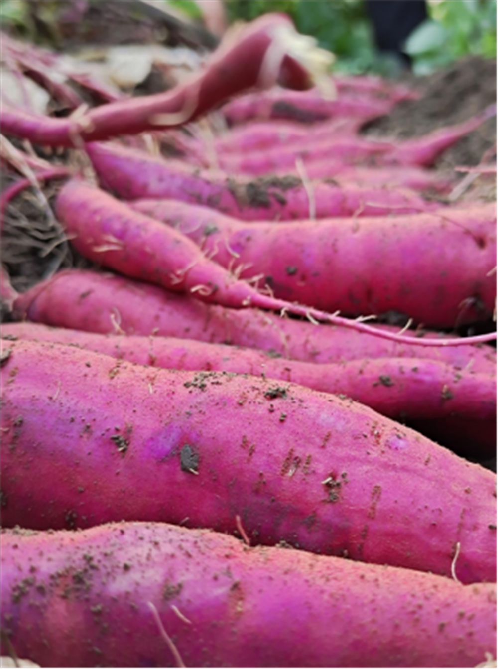 99905���ӹٷ�(�й���)���޹�˾��վ