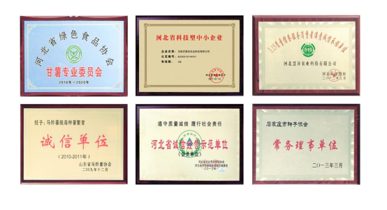 99905���ӹٷ�(�й���)���޹�˾��վ