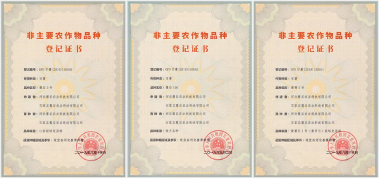 99905���ӹٷ�(�й���)���޹�˾��վ