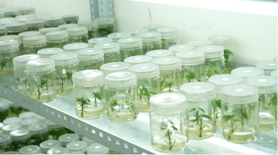 99905���ӹٷ�(�й���)���޹�˾��վ