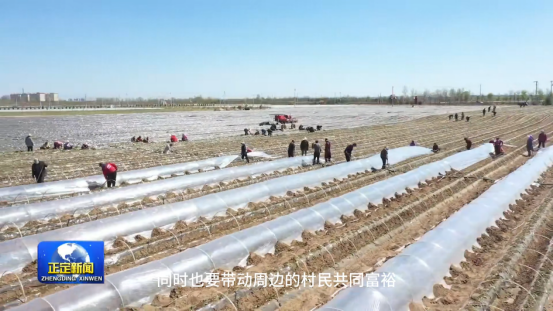 99905���ӹٷ�(�й���)���޹�˾��վ