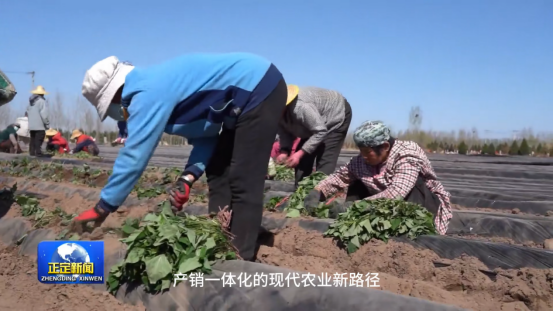 99905���ӹٷ�(�й���)���޹�˾��վ