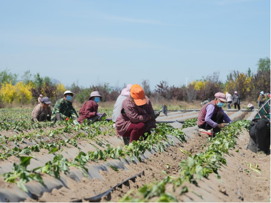 99905���ӹٷ�(�й���)���޹�˾��վ