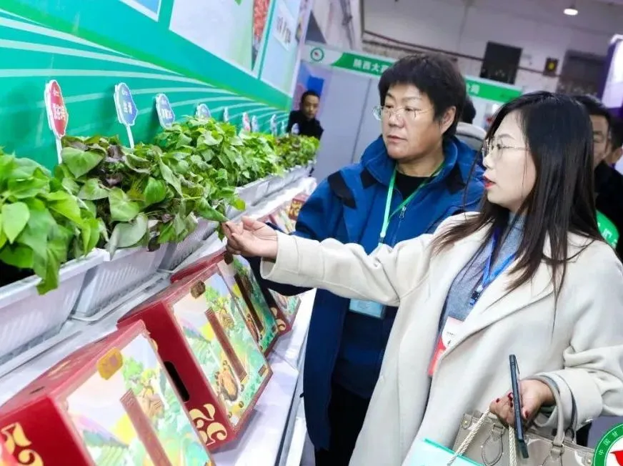 99905���ӹٷ�(�й���)���޹�˾��վ