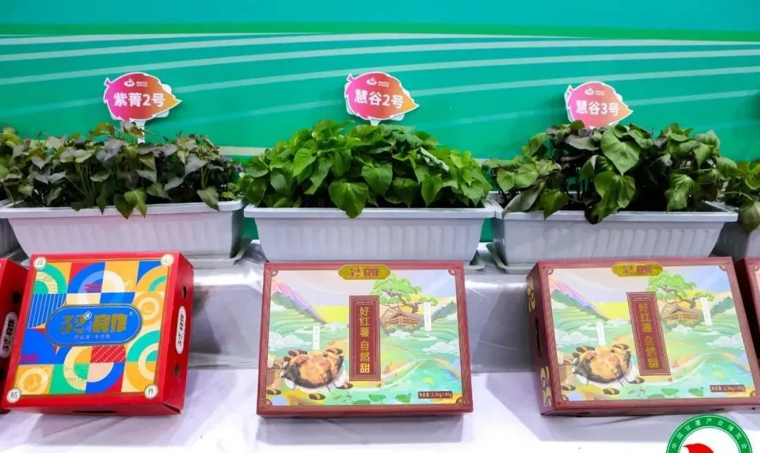 99905���ӹٷ�(�й���)���޹�˾��վ