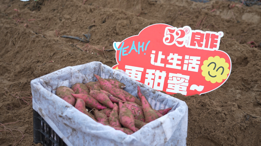 99905���ӹٷ�(�й���)���޹�˾��վ