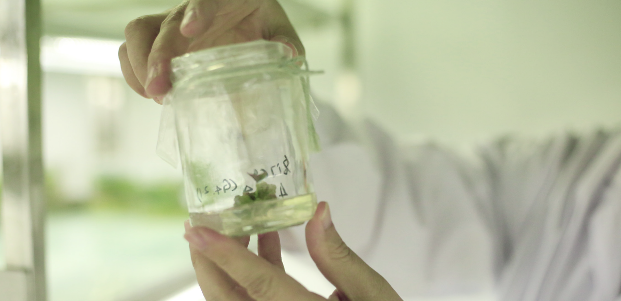 99905���ӹٷ�(�й���)���޹�˾��վ