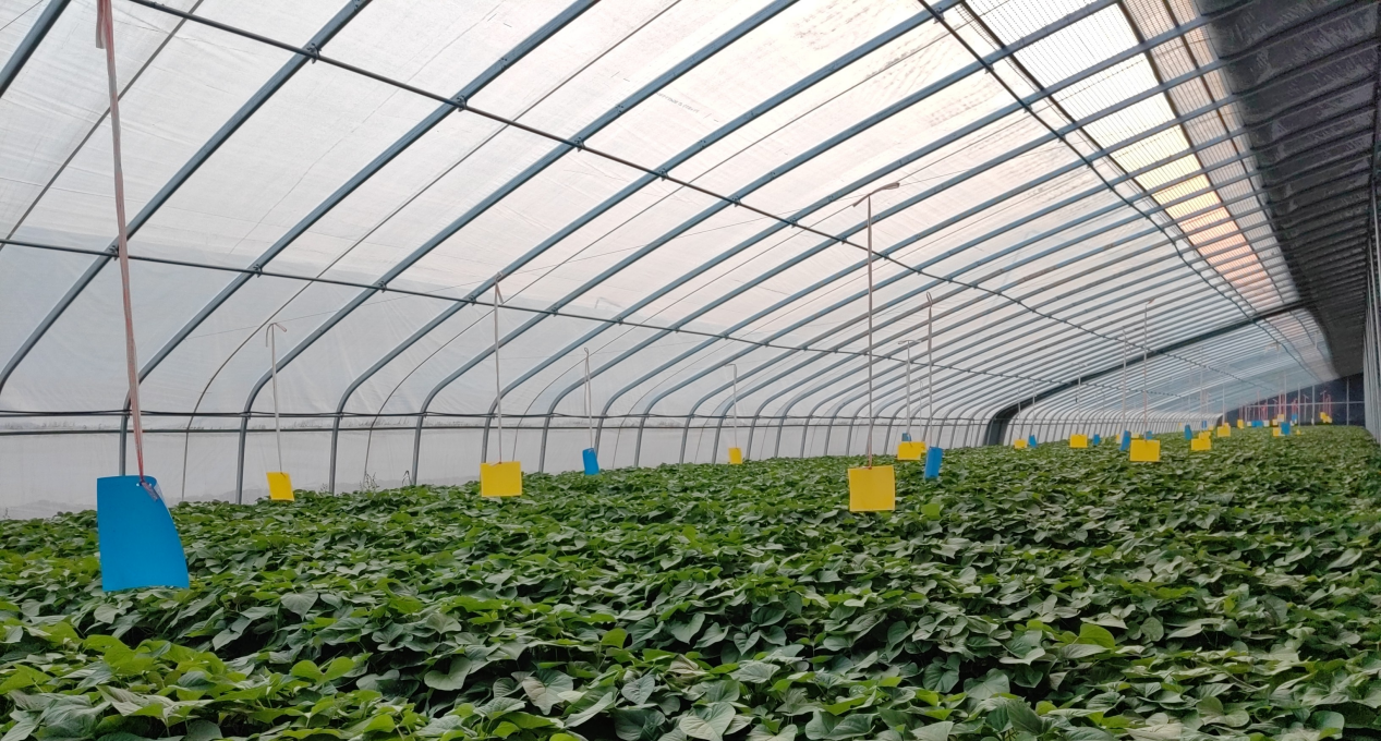 99905���ӹٷ�(�й���)���޹�˾��վ