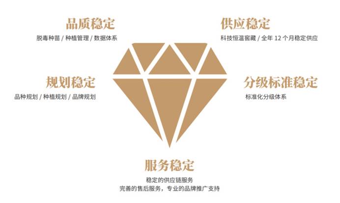 99905���ӹٷ�(�й���)���޹�˾��վ