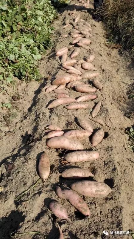 99905���ӹٷ�(�й���)���޹�˾��վ