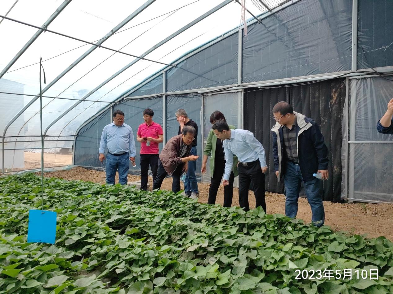 99905���ӹٷ�(�й���)���޹�˾��վ