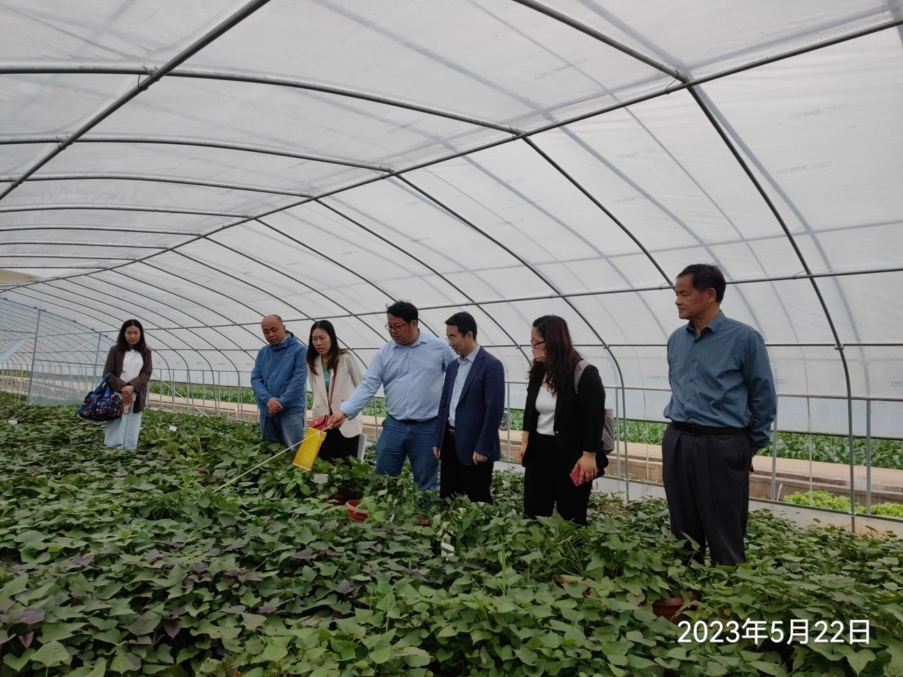 99905���ӹٷ�(�й���)���޹�˾��վ